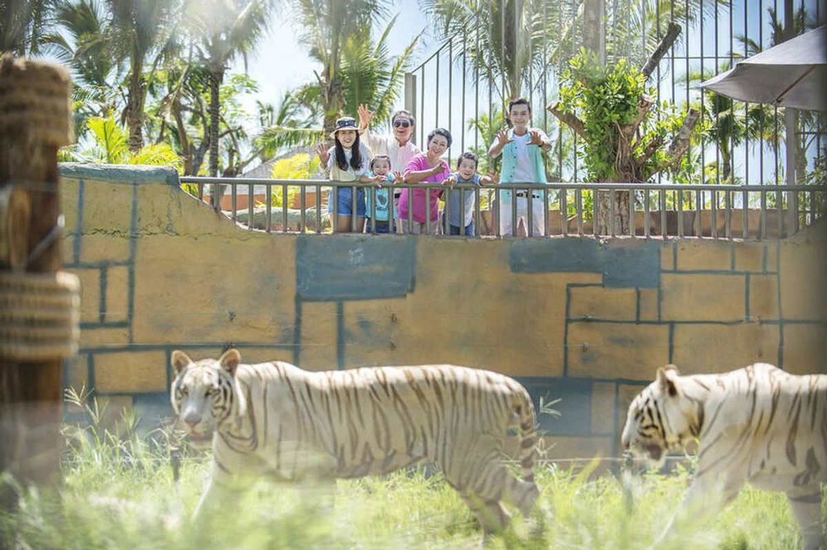 [나트랑] 빈원더스 왕복 차량 단독 투어