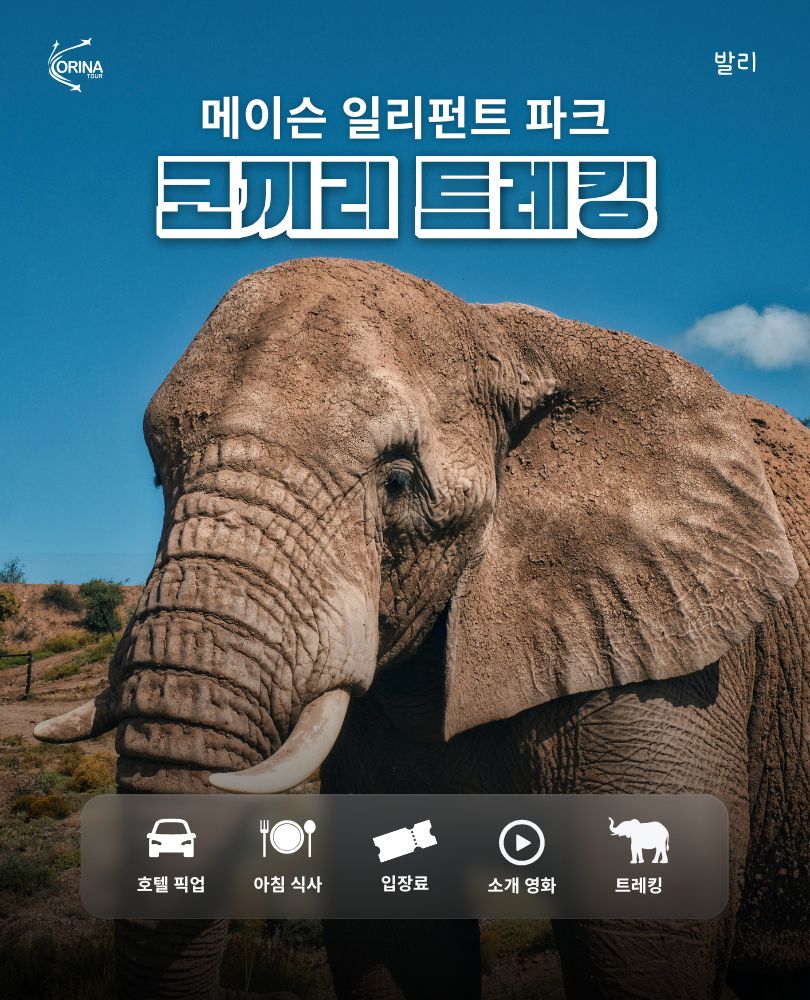 발리 메이슨 일리펀트 파크 코끼리 트레킹